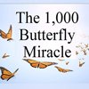 The 1000 Butterfly Miracle