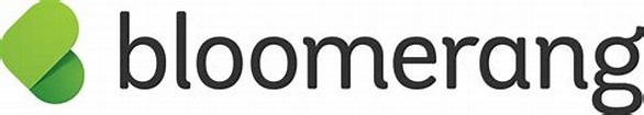 bloomerang copy